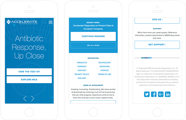 Accelerate Diagnostics Responsive Web Design