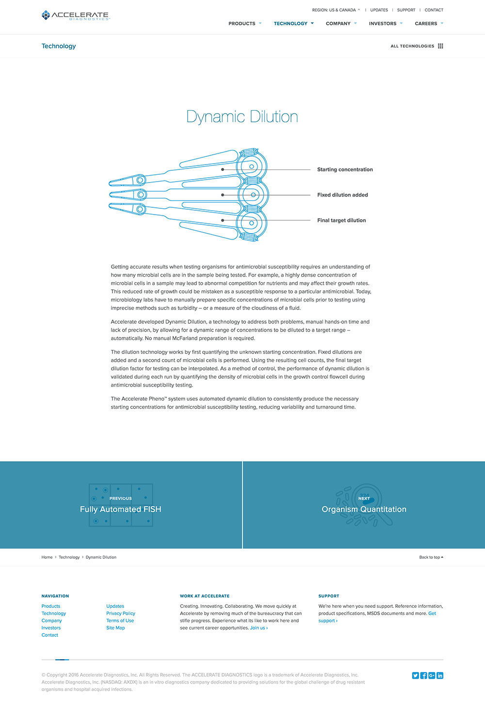 Accelerate Diagnostics Responsive Web Design